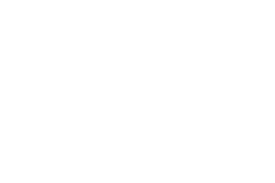 OMCIM_202507_Kernwaarden_Logos_2-Buderus